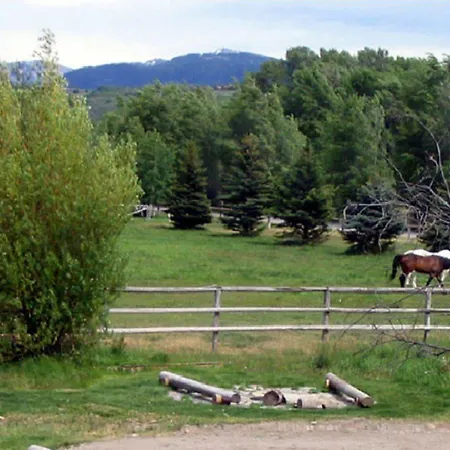 The Sassy Moose Inn