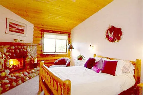 The Sassy Moose Hotel 3*