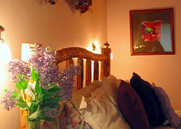 The Sassy Moose Hotel
