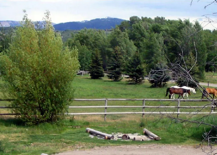 The Sassy Moose Hotel